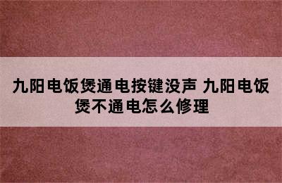 九阳电饭煲通电按键没声 九阳电饭煲不通电怎么修理